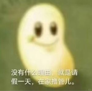 “慢玩”飞机杯推荐，如果你在找“慢玩”，这篇就是为你准备的-杯圈