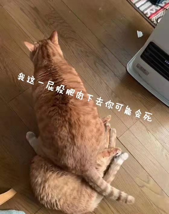 “小伙子,鹅蛋一样大的杯子你“尝过”没?”—紧致肉蛋(中低刺激)评测1 “小伙子,鹅蛋一样大的杯子你“尝过”没?”—紧致肉蛋(中低刺激)评测1