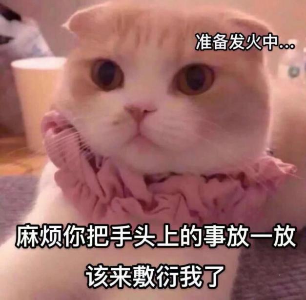 “翻转吧魔法娘!”— 魔法娘(中稍高刺激)评测6 “翻转吧魔法娘!”— 魔法娘(中稍高刺激)评测6