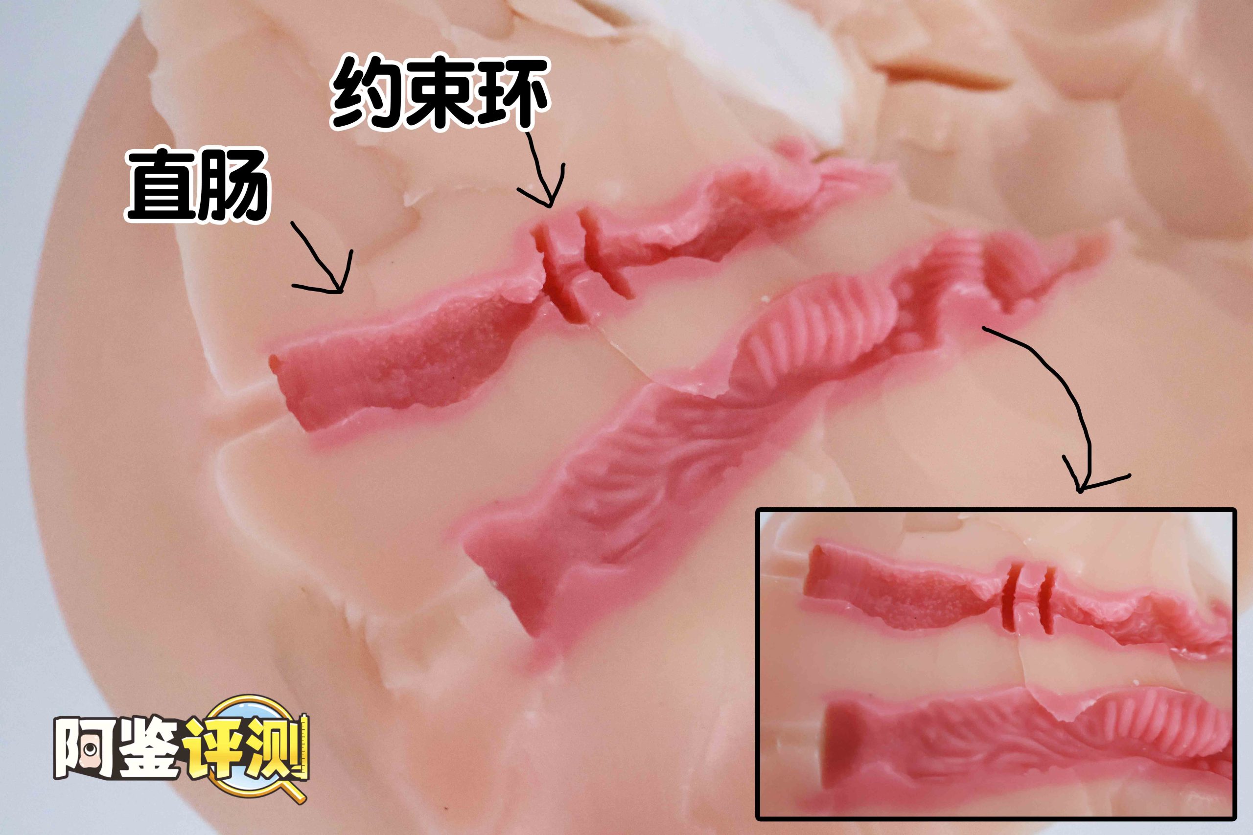 Lovefactor“风铃御使”评测!臀模界的革新工艺,真实形态的肉感波浪!36 Lovefactor“风铃御使”评测!臀模界的革新工艺,真实形态的肉感波浪!36