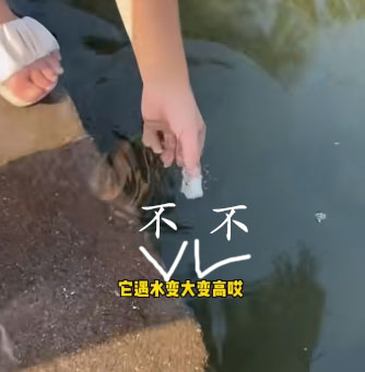 10种会让你的飞机杯光速去世的情况!千万注意!超全的小玩具保养指南!6 10种会让你的飞机杯光速去世的情况!千万注意!超全的小玩具保养指南!6