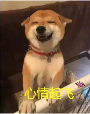 高性价比的真实口感-杯多多真实之口评测-邪恶天使