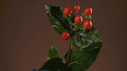 她说:我想知道女人真高潮时是什么感觉3 她说:我想知道女人真高潮时是什么感觉3