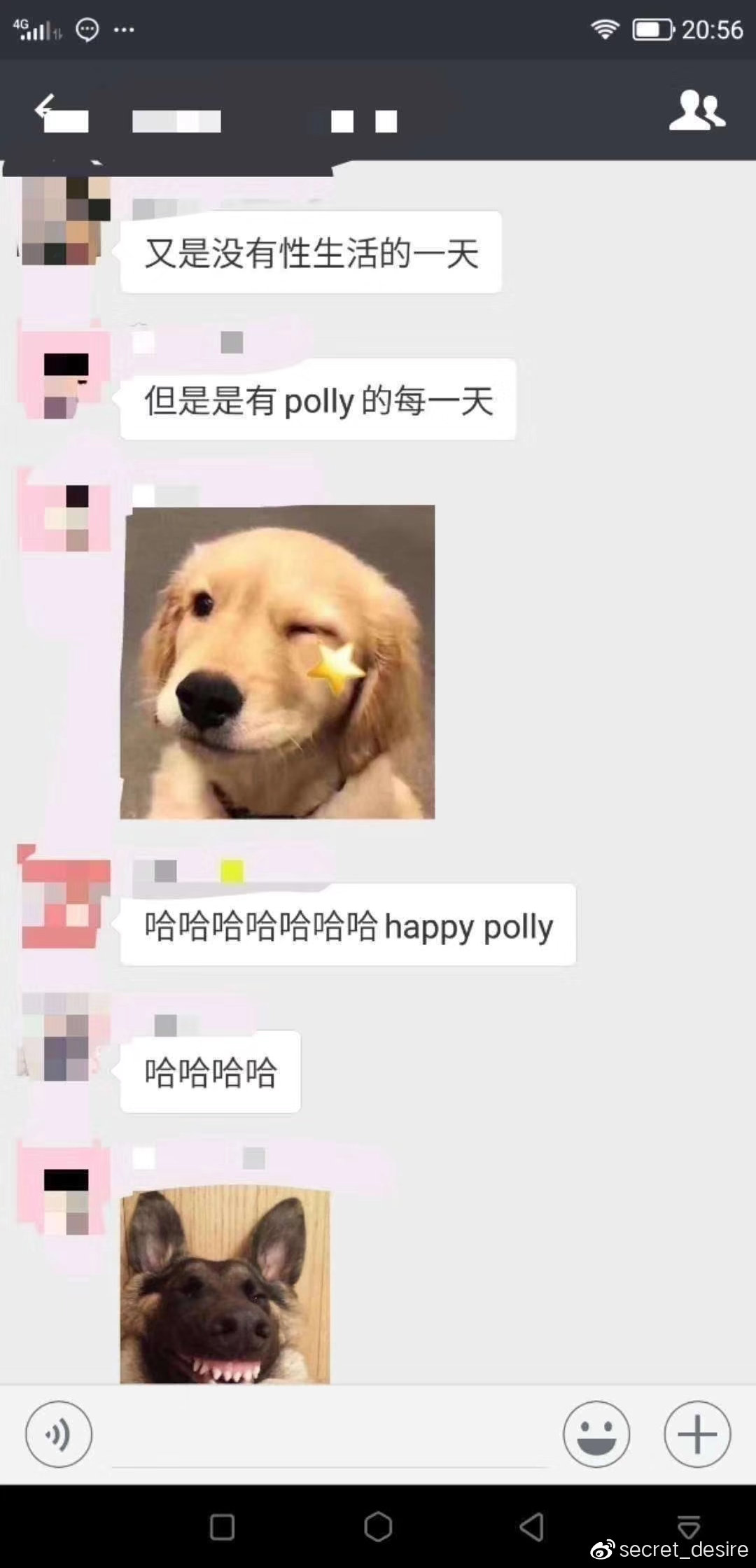 人手一根的polly到底是何方神圣?-有个飞机杯